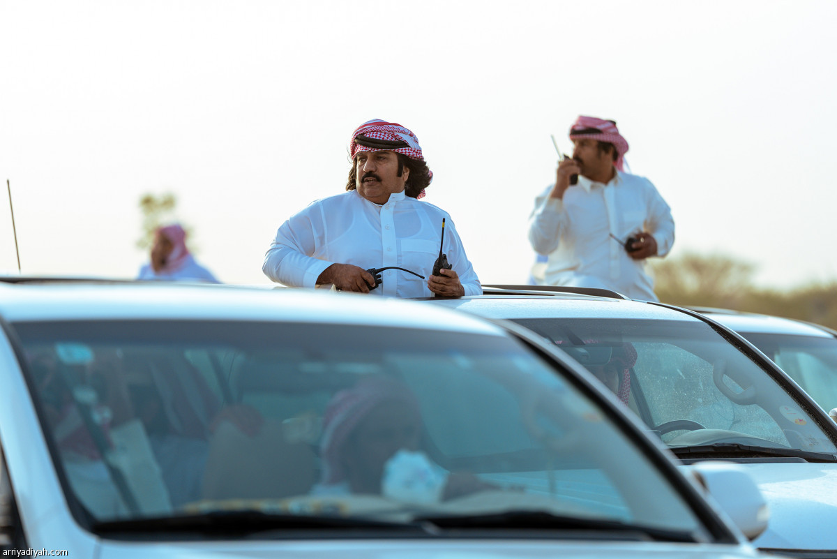 100 ألف مطية